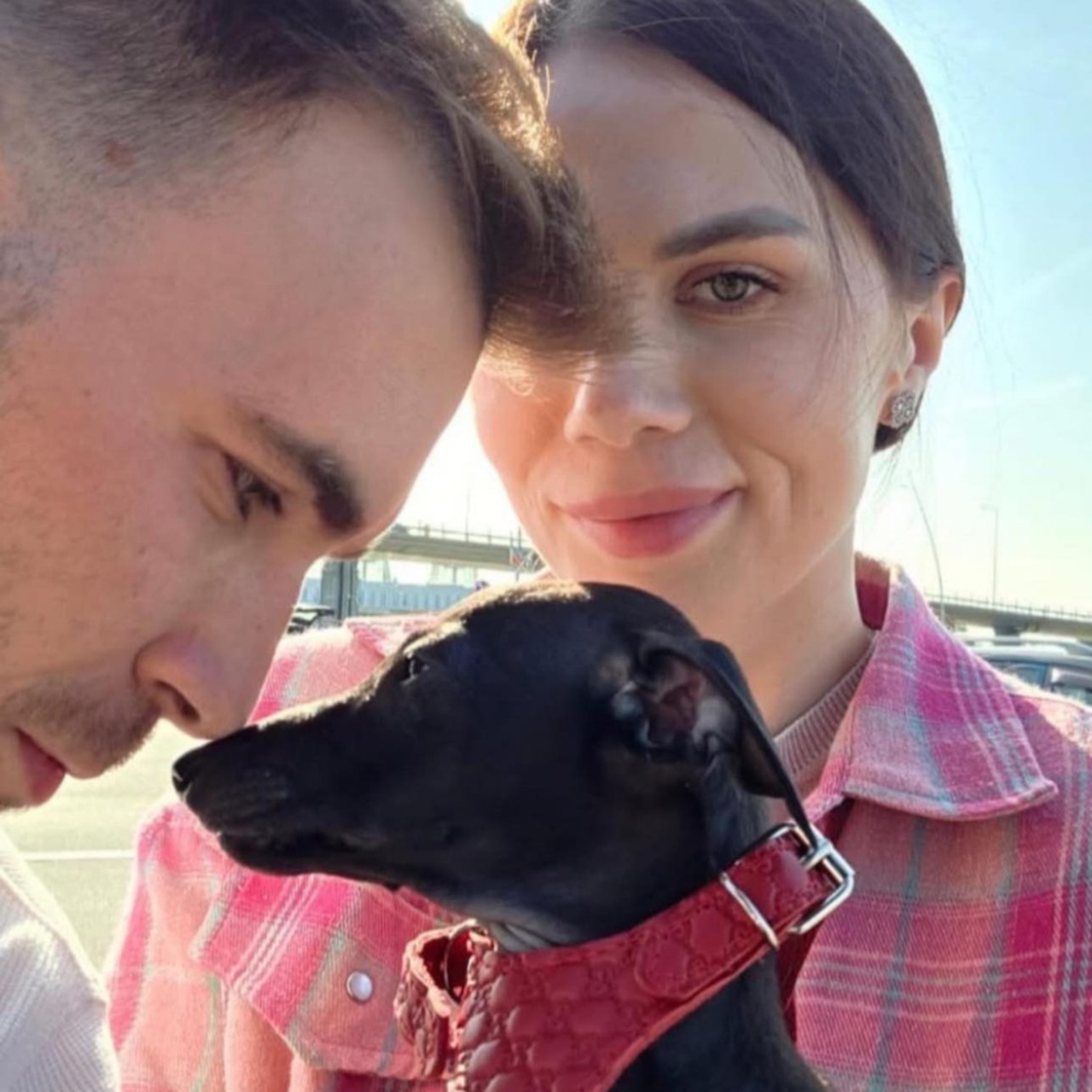 Отзывы от наших любимых владельцев. Профессиональный питомник левреток РКФ/FCI ASTI SAPPHIRE 💎 Сочи|Санкт-Петербург