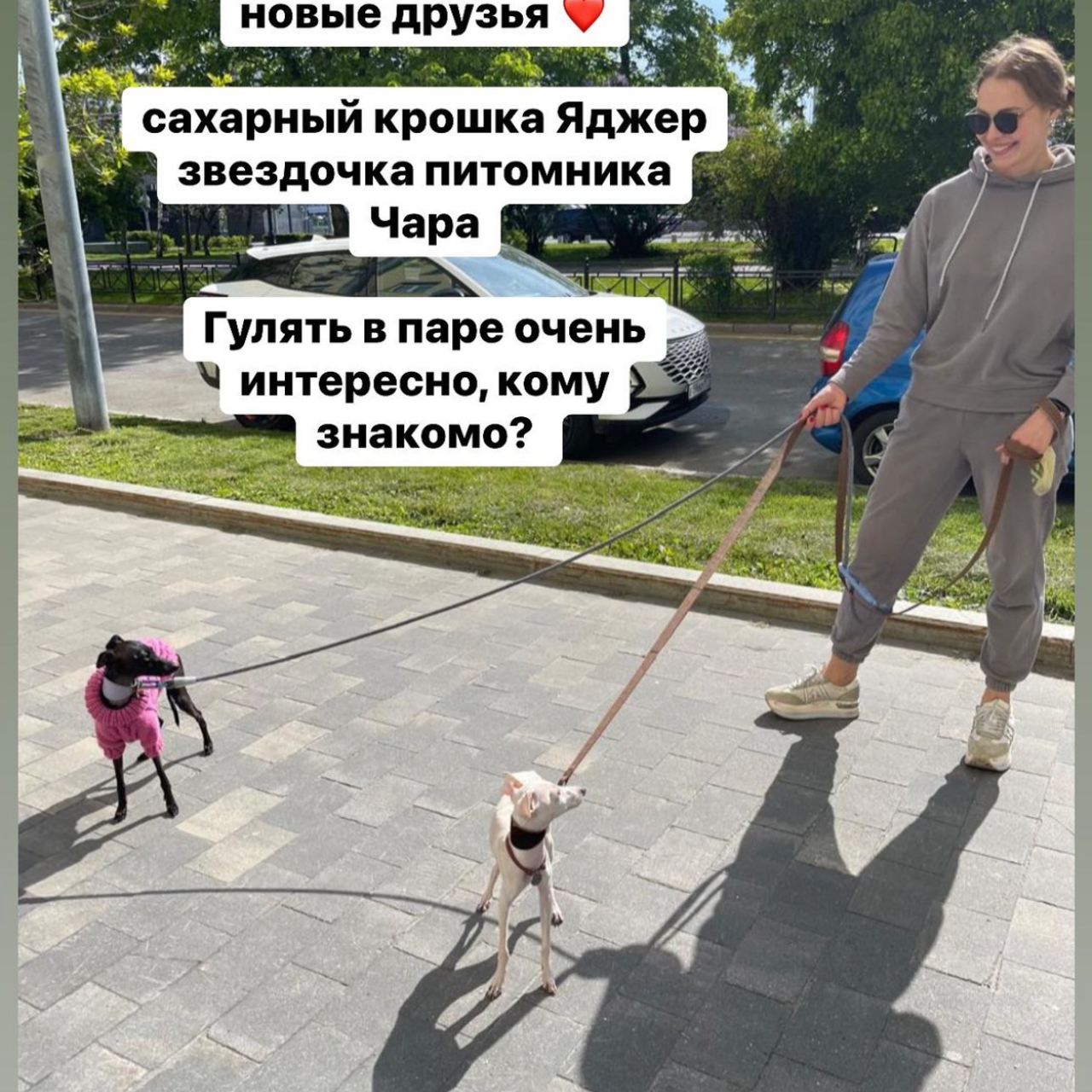 Отзывы от наших любимых владельцев. Профессиональный питомник левреток РКФ/FCI ASTI SAPPHIRE 💎 Сочи|Санкт-Петербург