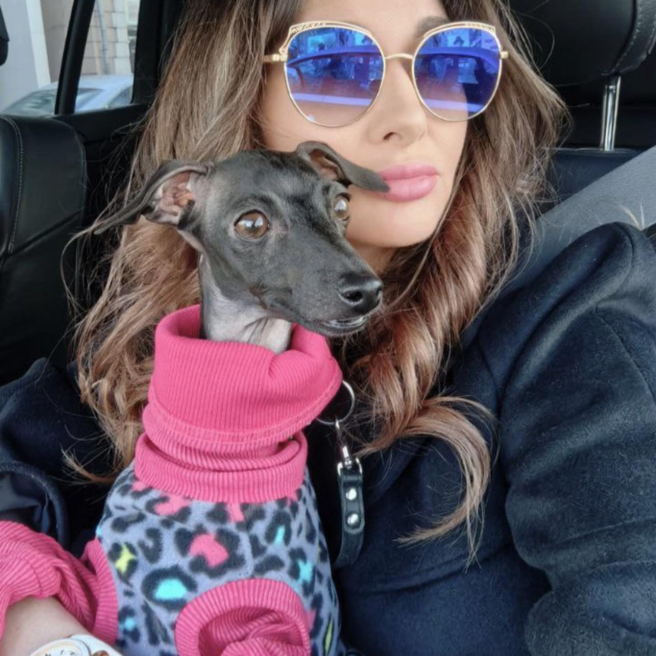 Отзывы от наших любимых владельцев. Профессиональный питомник левреток РКФ/FCI ASTI SAPPHIRE 💎 Сочи|Санкт-Петербург