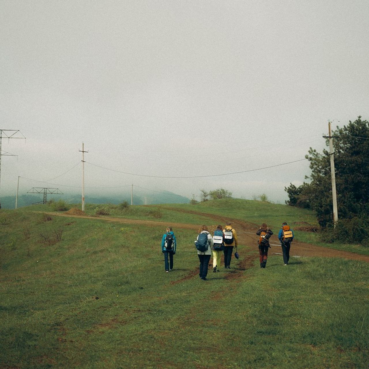 Алиса Аницкая. Фотограф Смоленск, МСК, СПБ. Отзывы. Алиса Аницкая