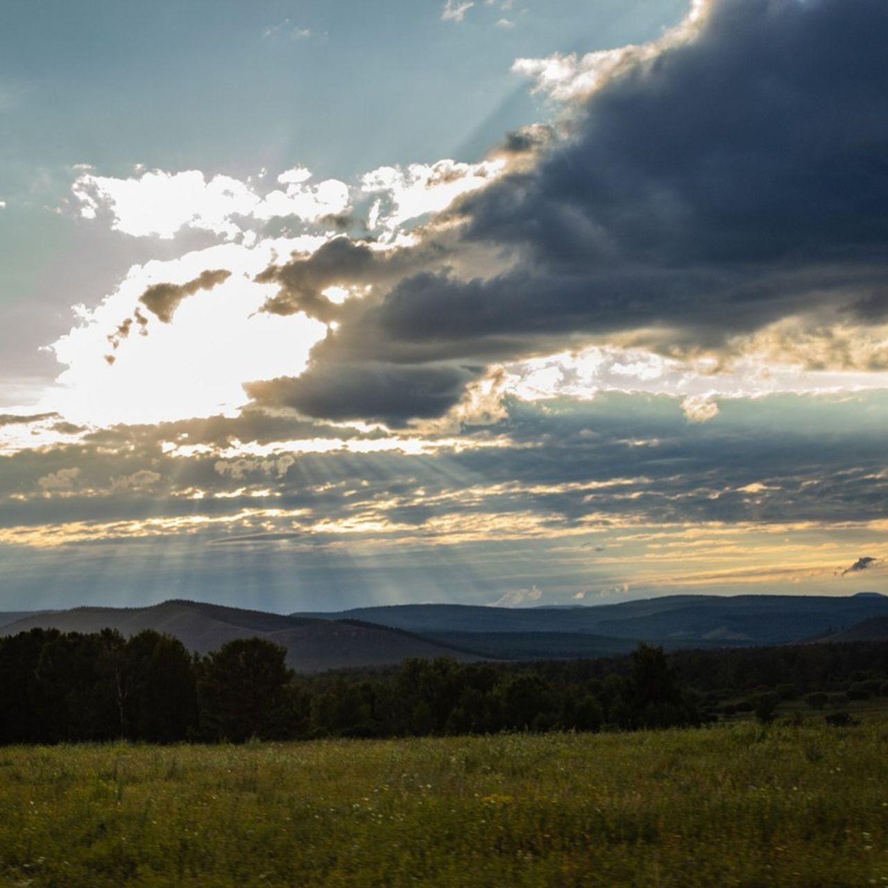 Отзывы. Dyachenko Elena — фотограф из Сибири