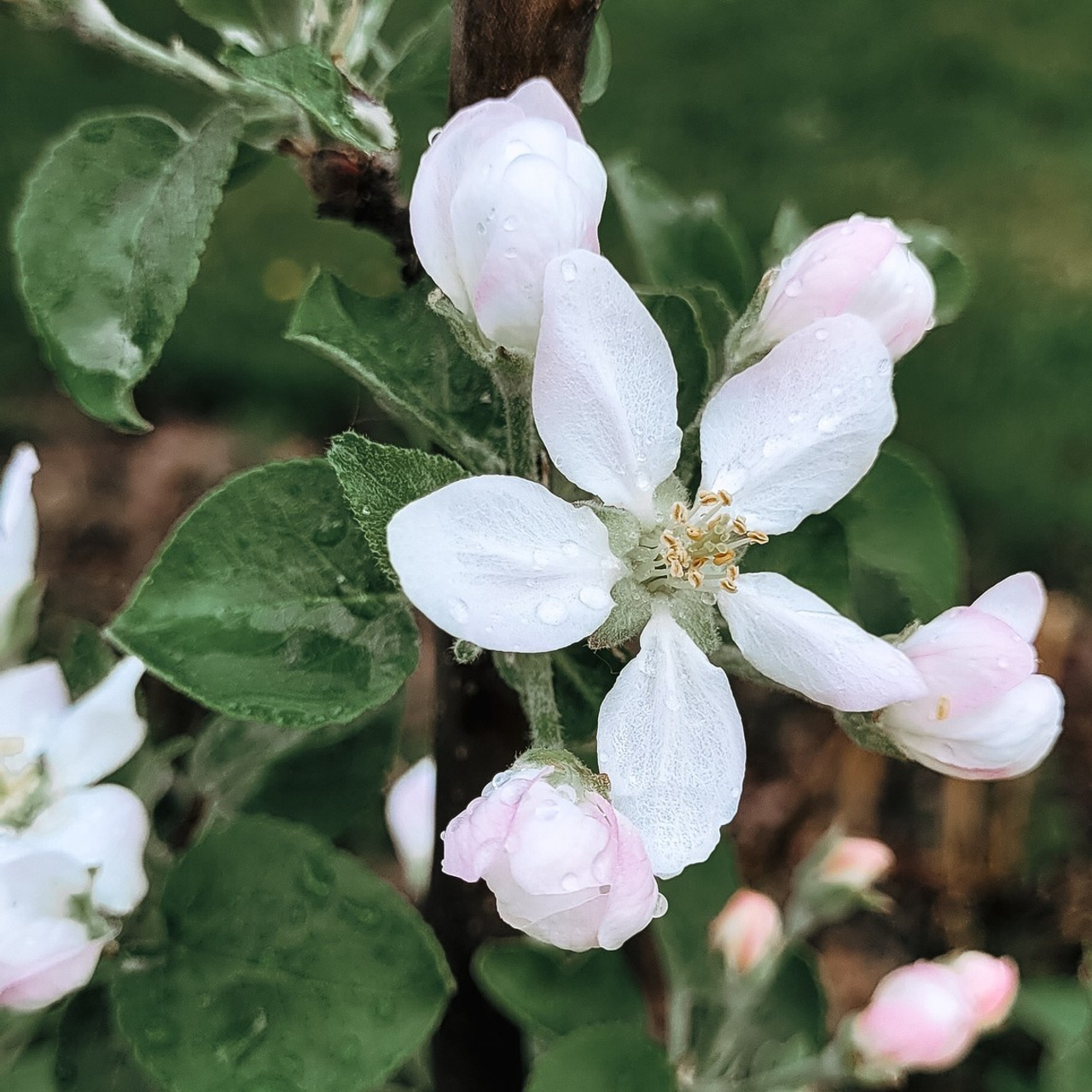 Отзывы. Anna Gidros — профессиональный фотограф