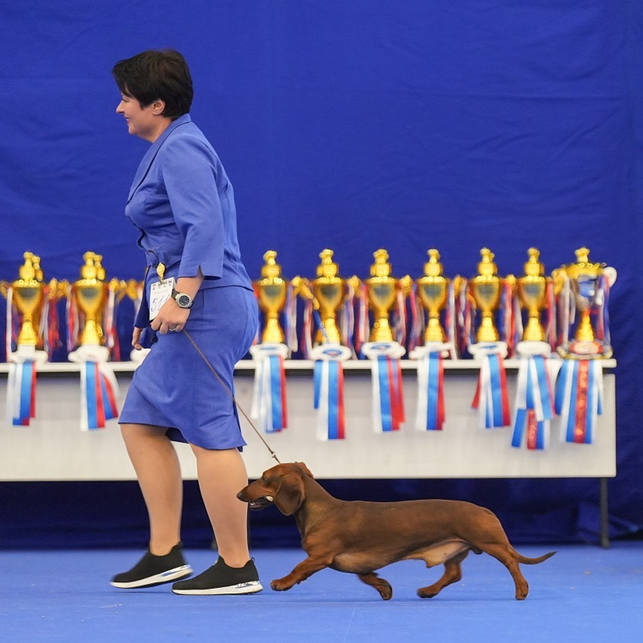 Отзывы. Фотограф-анималист Антон Базылевич