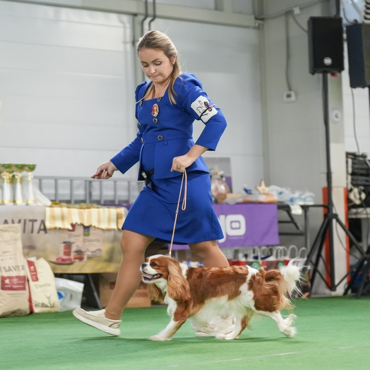 Отзывы. Фотограф-анималист Антон Базылевич