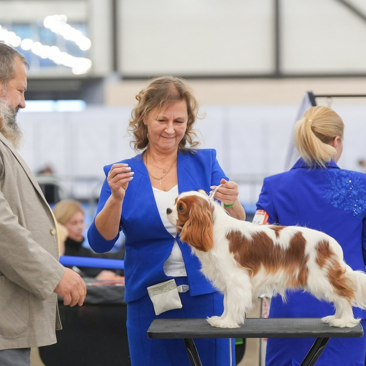 Отзывы. Фотограф-анималист Антон Базылевич