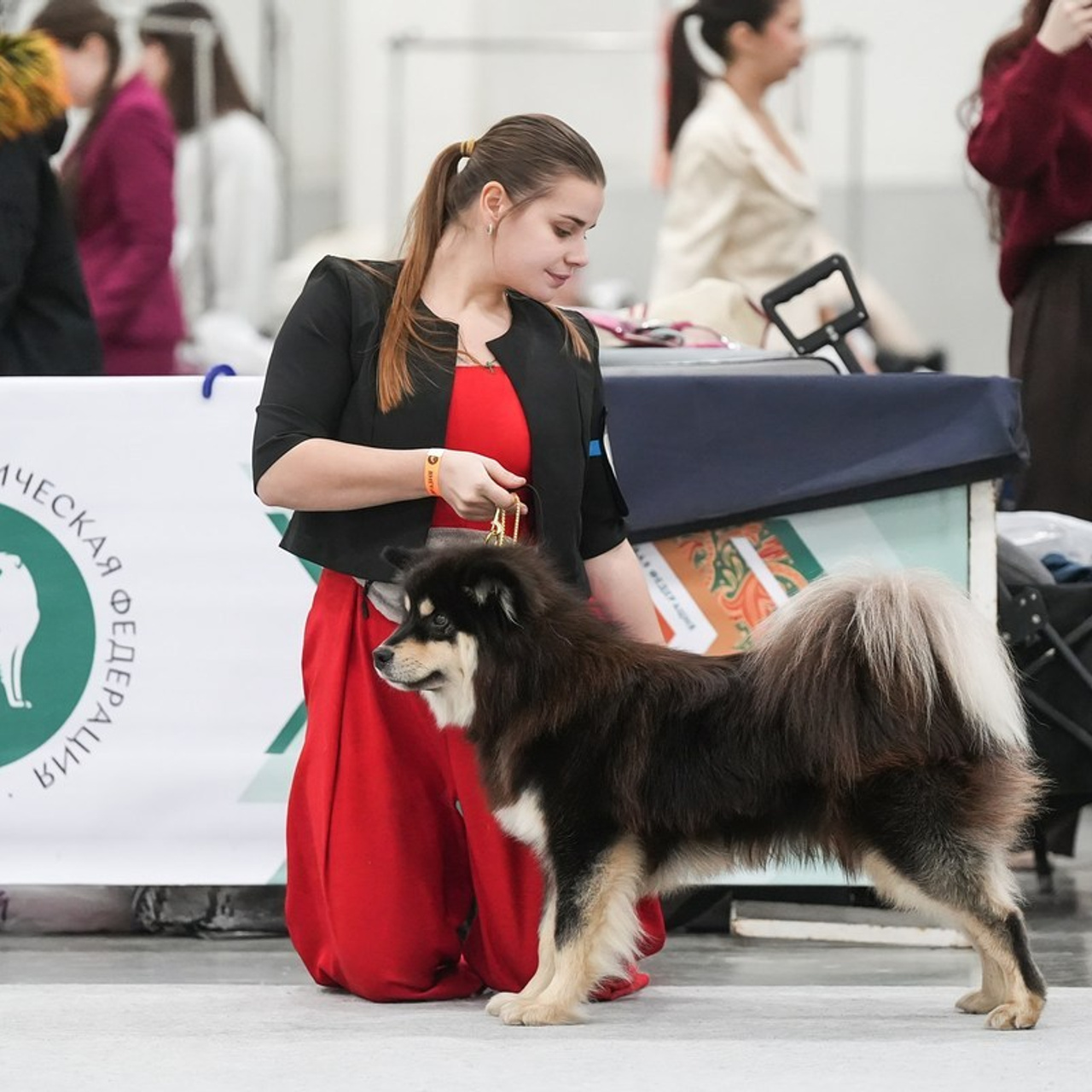 Отзывы. Фотограф-анималист Антон Базылевич