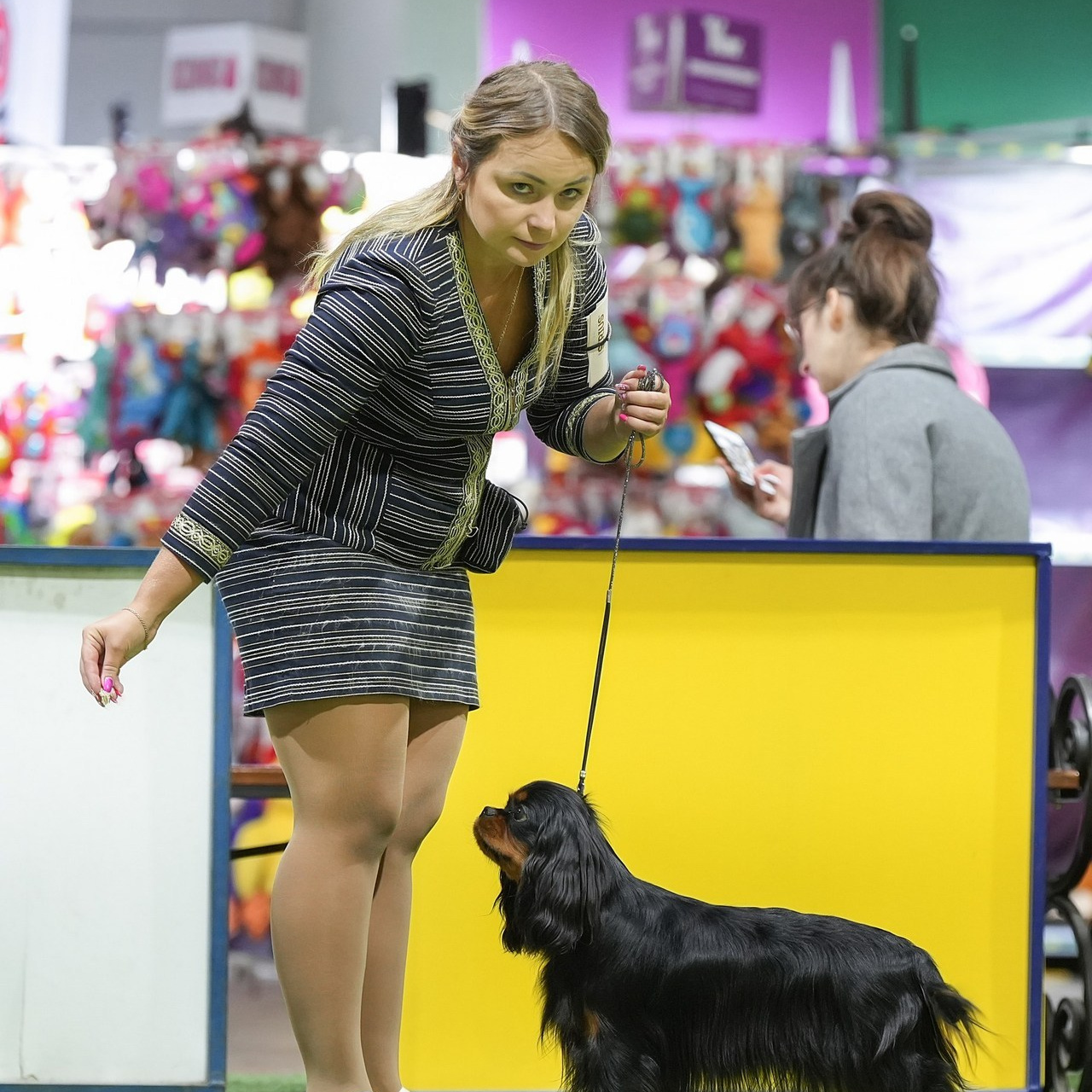 Отзывы. Фотограф-анималист Антон Базылевич