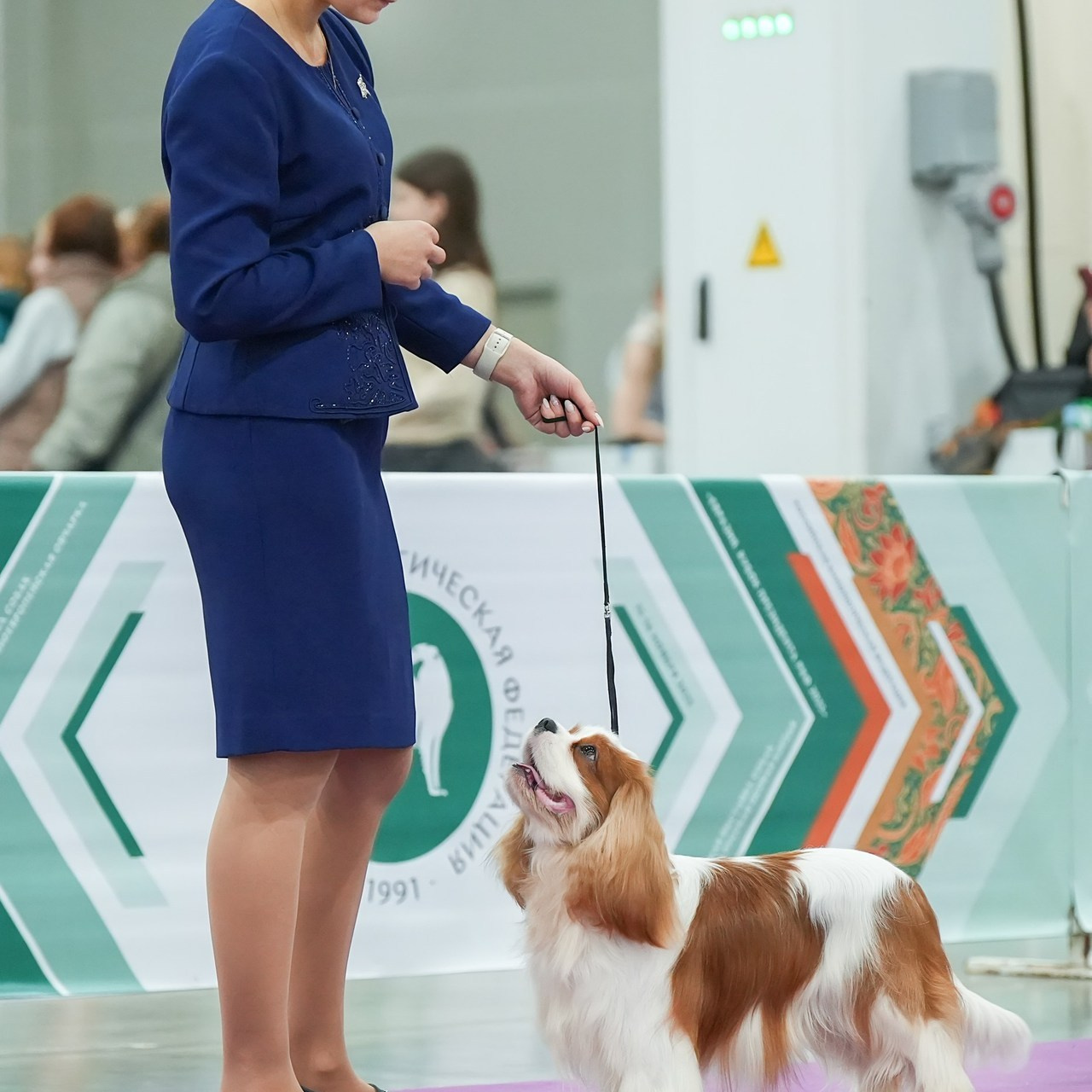 Отзывы. Фотограф-анималист Антон Базылевич