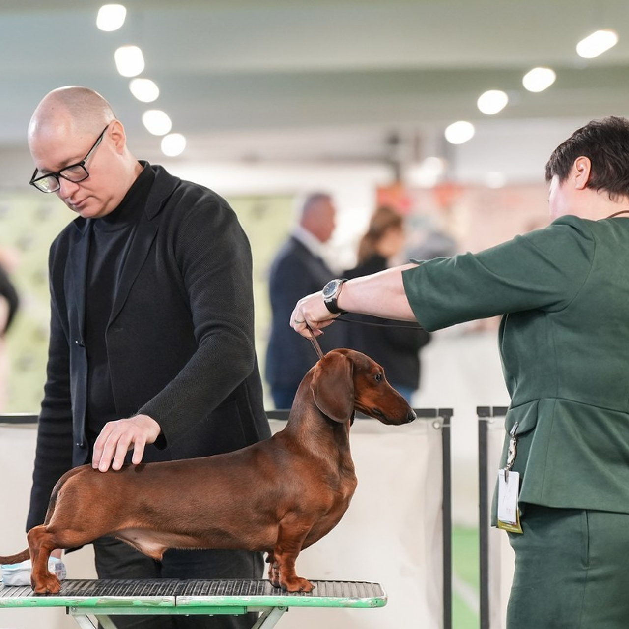 Отзывы. Фотограф-анималист Антон Базылевич