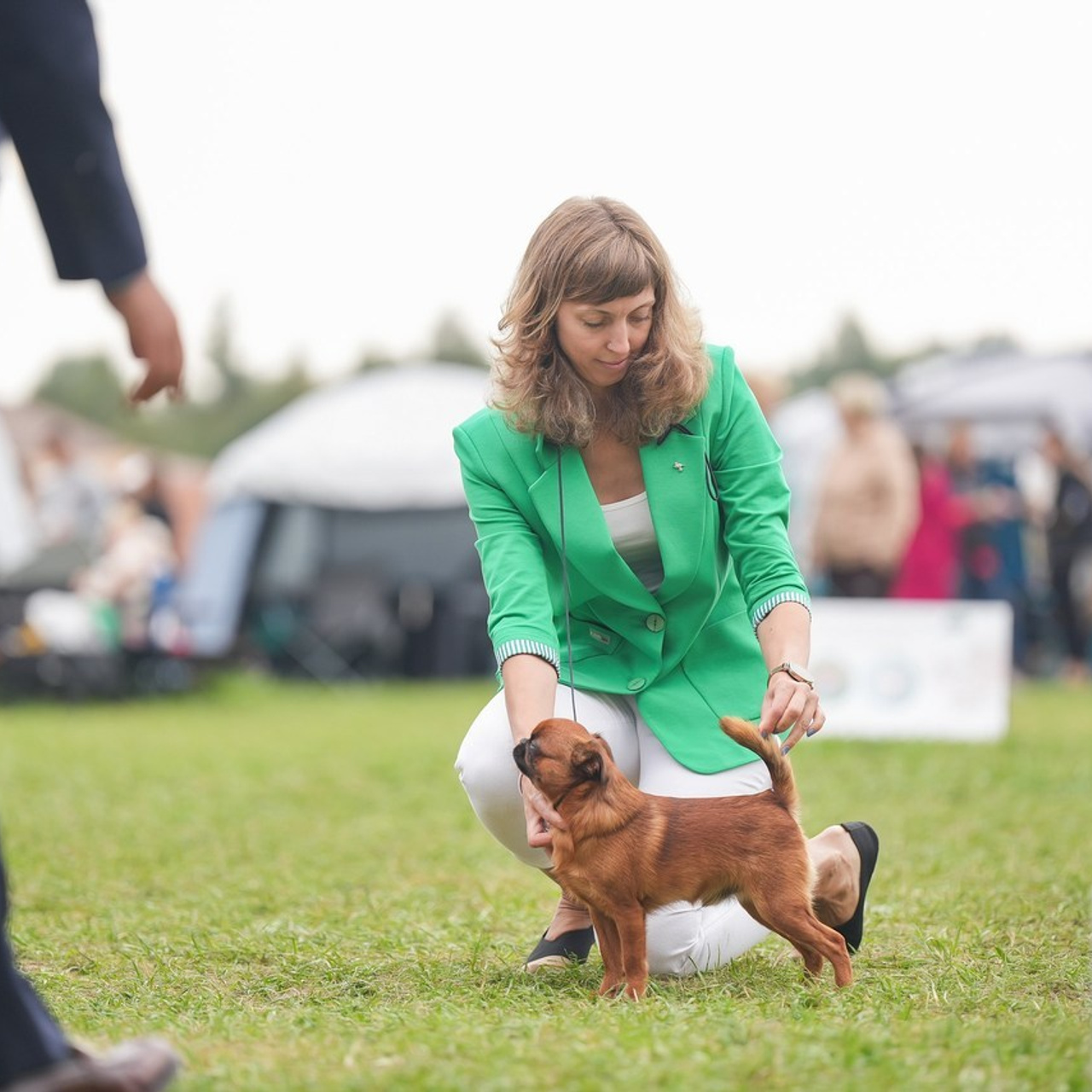 Отзывы. Фотограф-анималист Антон Базылевич