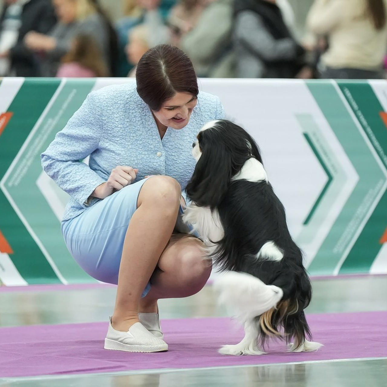 Отзывы. Фотограф-анималист Антон Базылевич