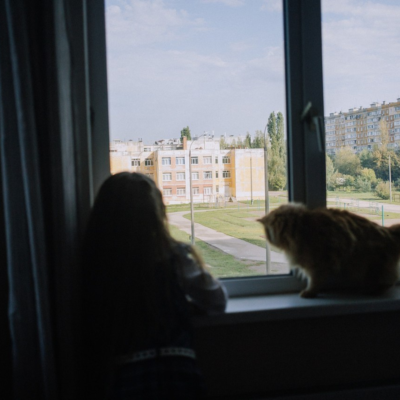 Отзывы. Фотографии с любовью