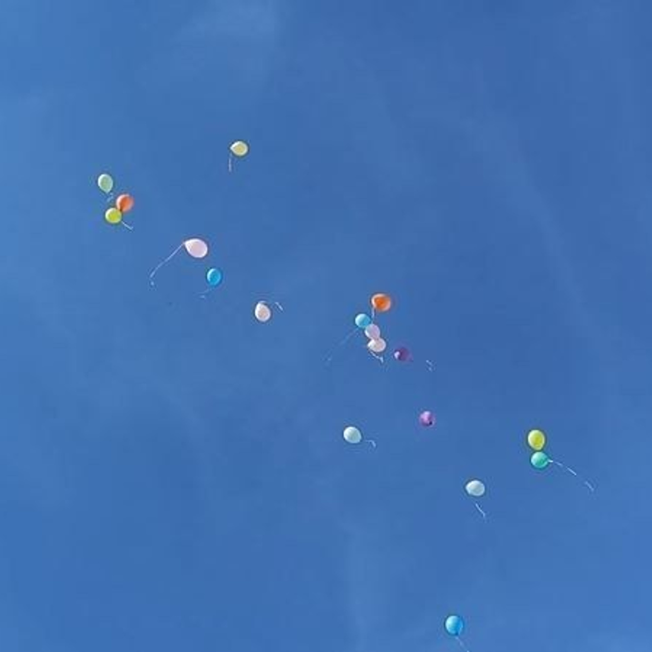 Отзывы. Filmmaker Vadim Averin