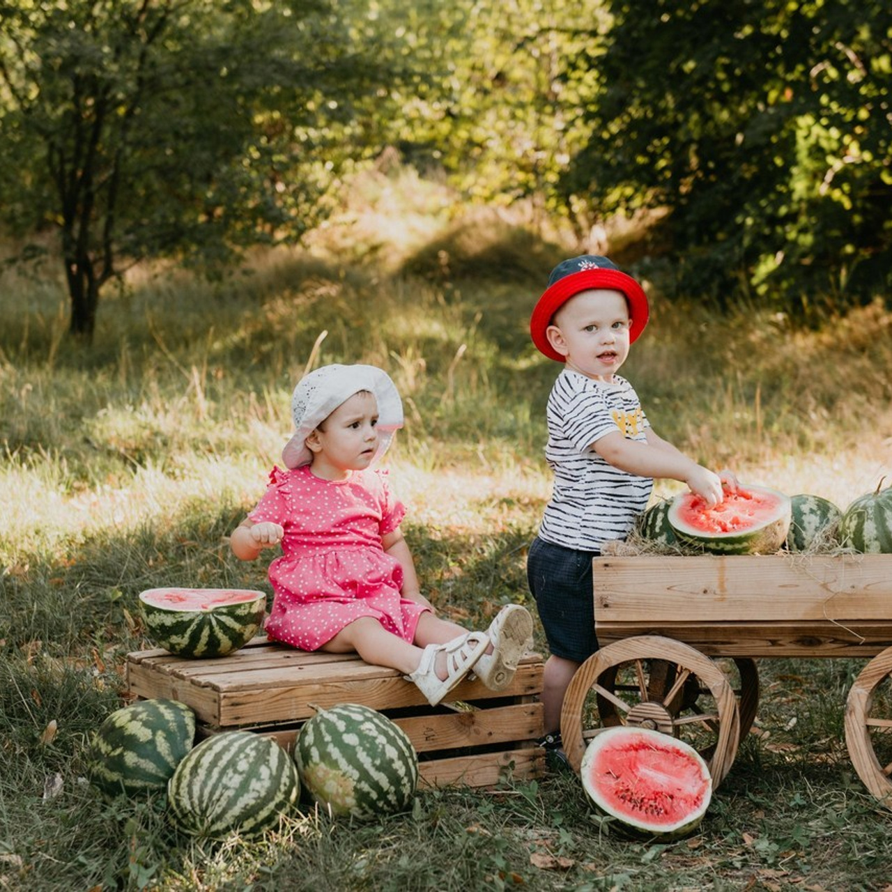 Отзывы. Детский и семейный фотограф в Армавире Даша Зубкова