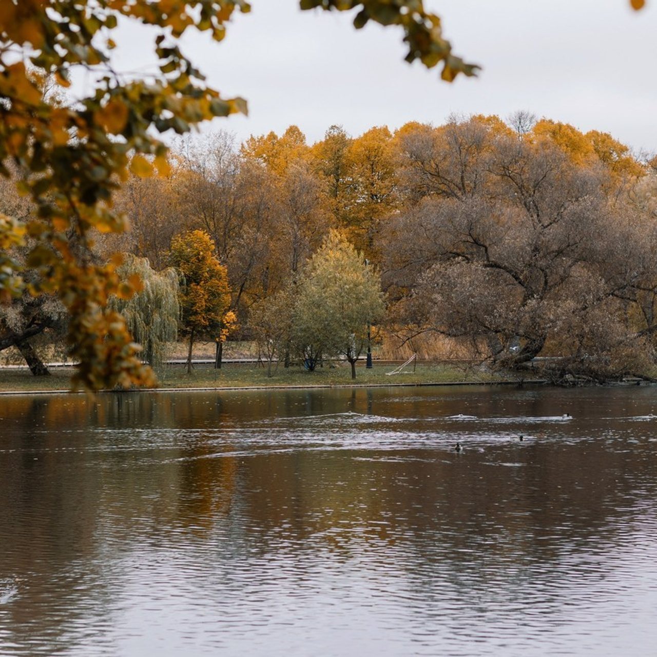 Отзывы. Семейный фотограф Толстикова Кристина