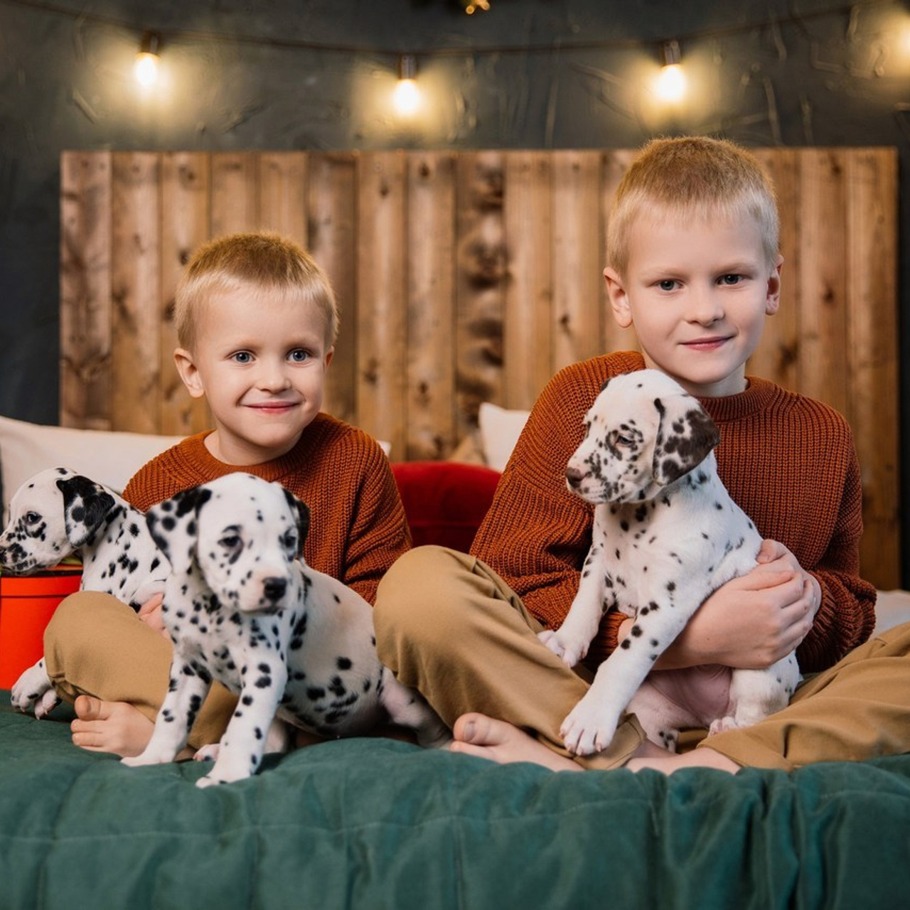 Отзывы. Семейный фотограф Толстикова Кристина