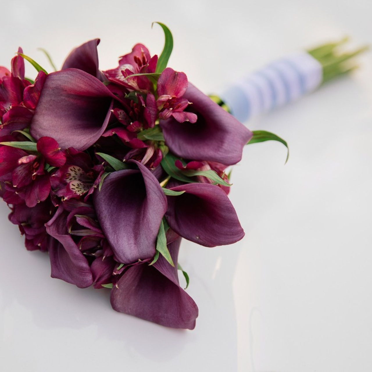 Отзывы. Семейный фотограф Толстикова Кристина