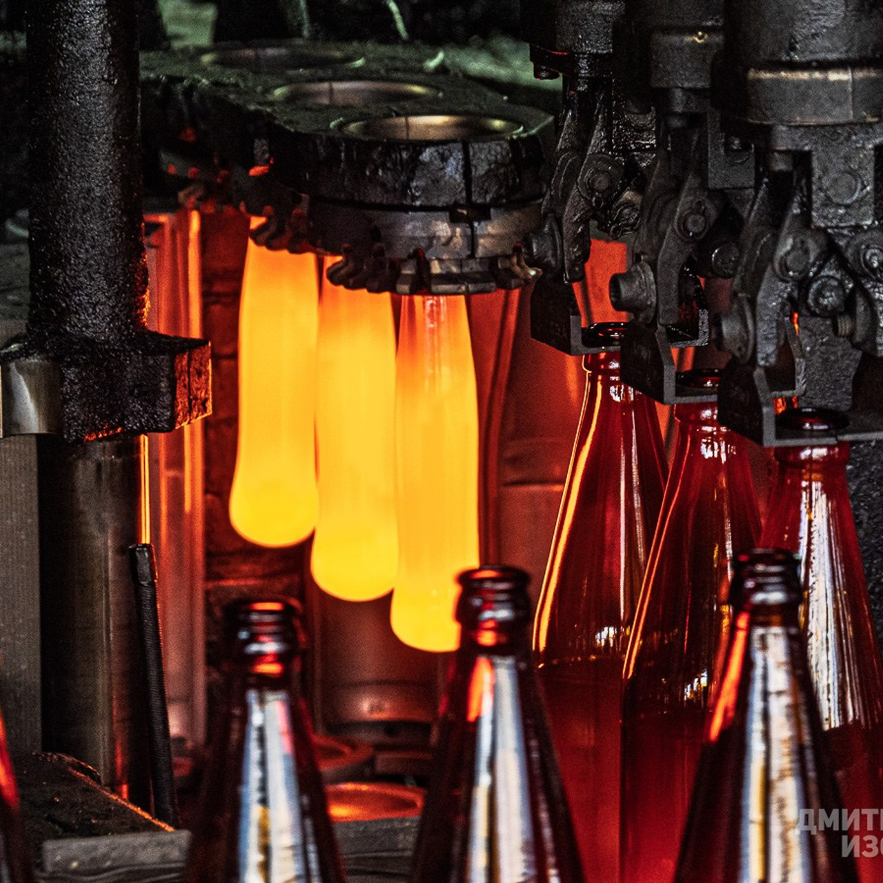 Дмитрий Изосимов — фото/видео в Тюмени