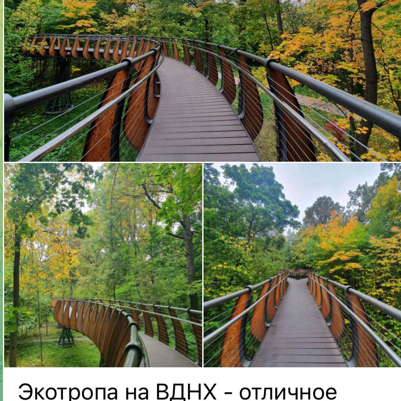 Места для осенних фотопрогулок. Дарья Бухреева — фотограф, видеограф и фототерапевт. Москва и мир