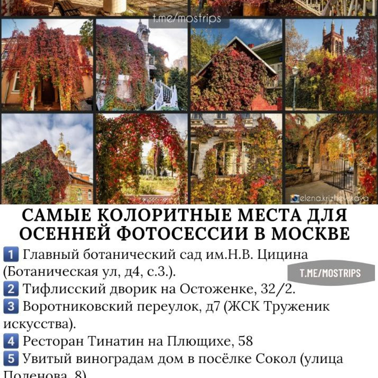 Места для осенних фотопрогулок. Дарья Бухреева — фотограф, видеограф и фототерапевт. Москва и мир