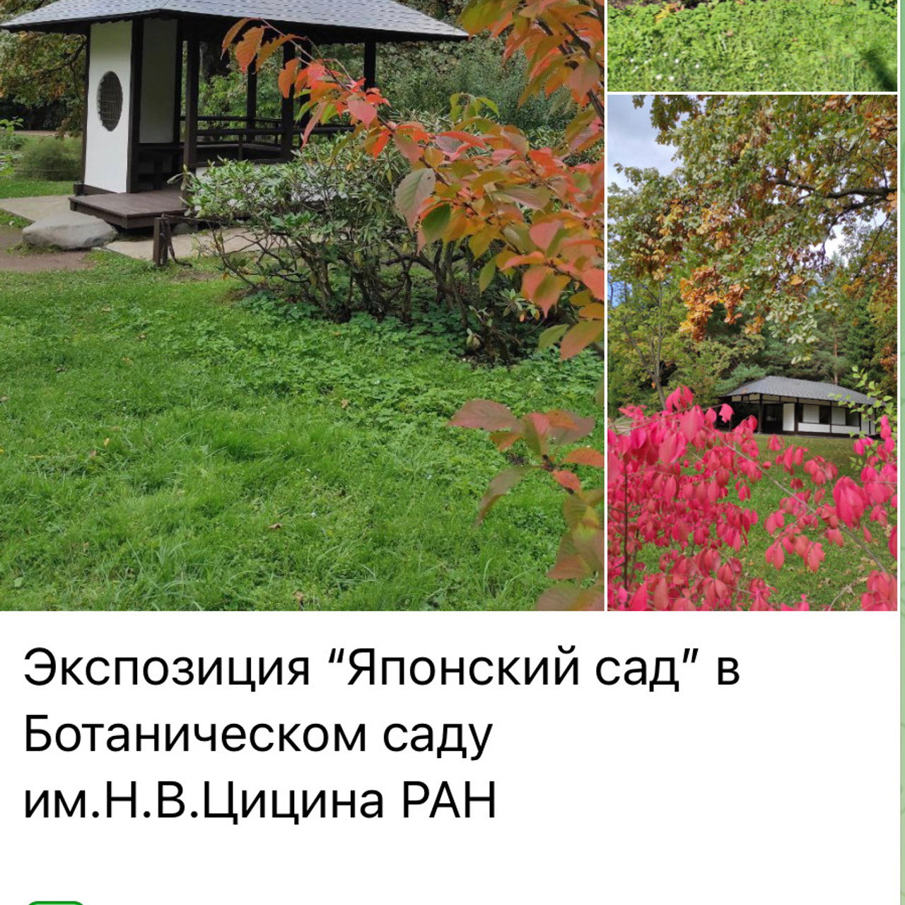 Места для осенних фотопрогулок. Дарья Бухреева — фотограф, видеограф и фототерапевт. Москва и мир