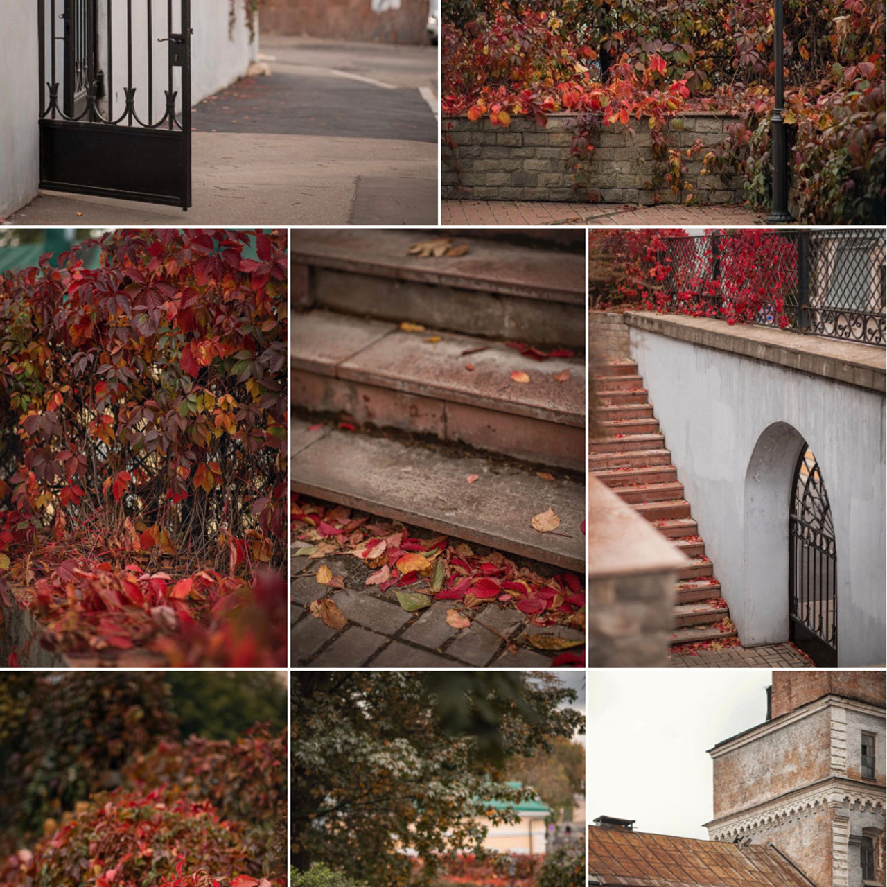 Места для осенних фотопрогулок. Дарья Бухреева — фотограф, видеограф и фототерапевт. Москва и мир