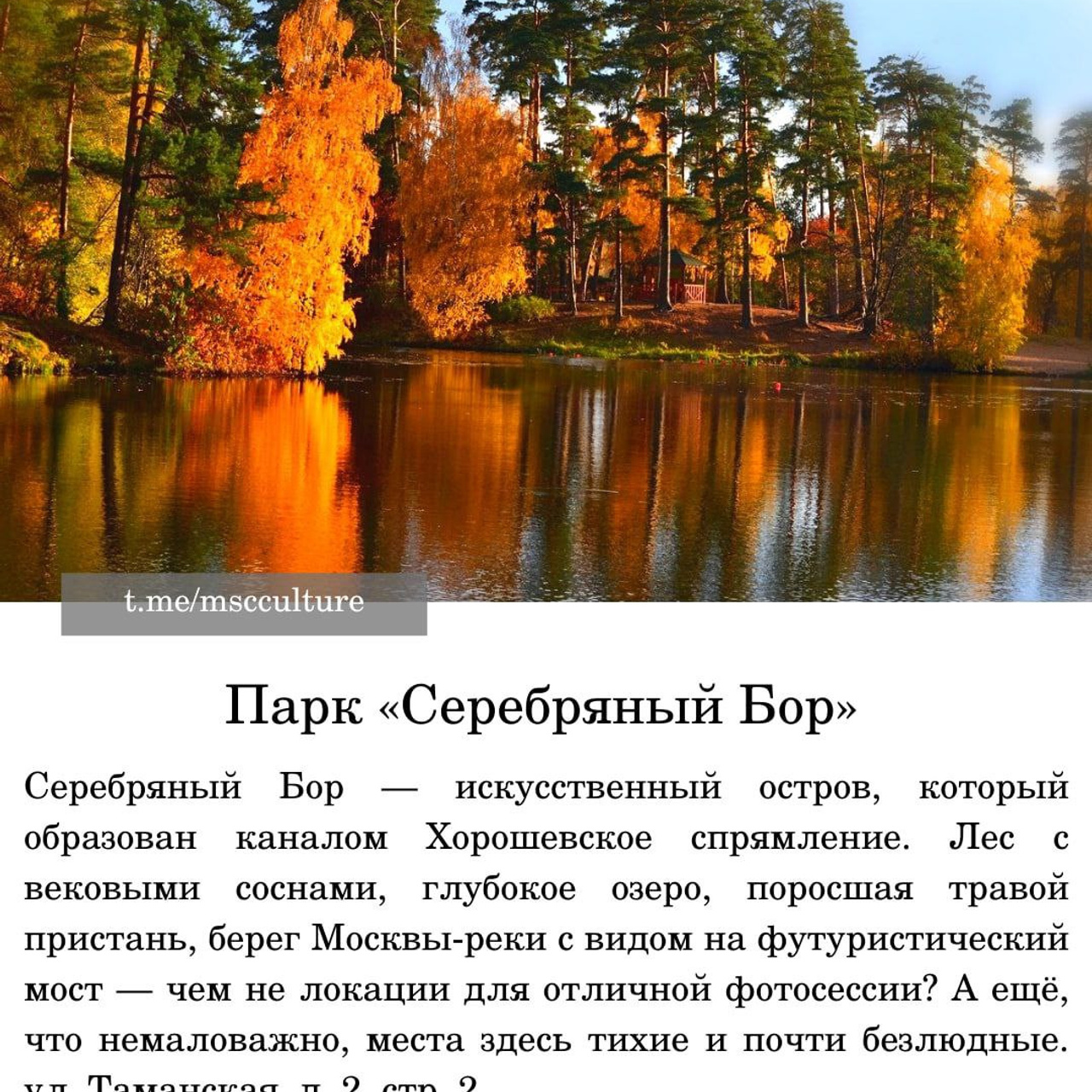 Места для осенних фотопрогулок. Дарья Бухреева — фотограф, видеограф и фототерапевт. Москва и мир