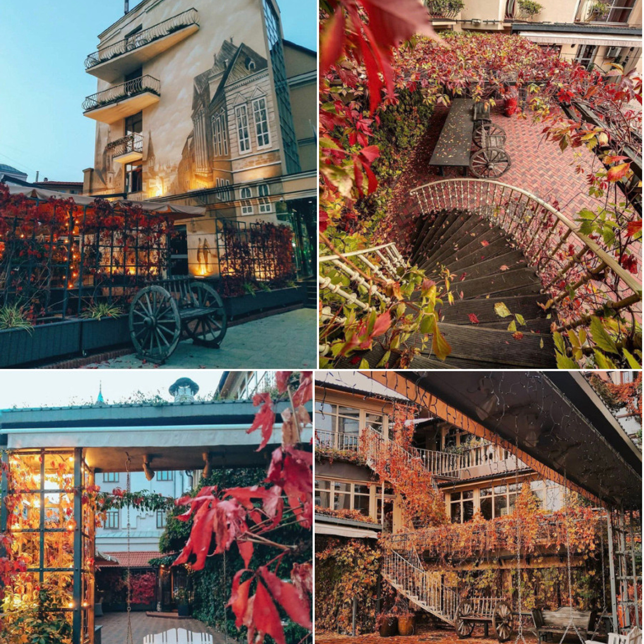 Места для осенних фотопрогулок. Дарья Бухреева — фотограф, видеограф и фототерапевт. Москва и мир