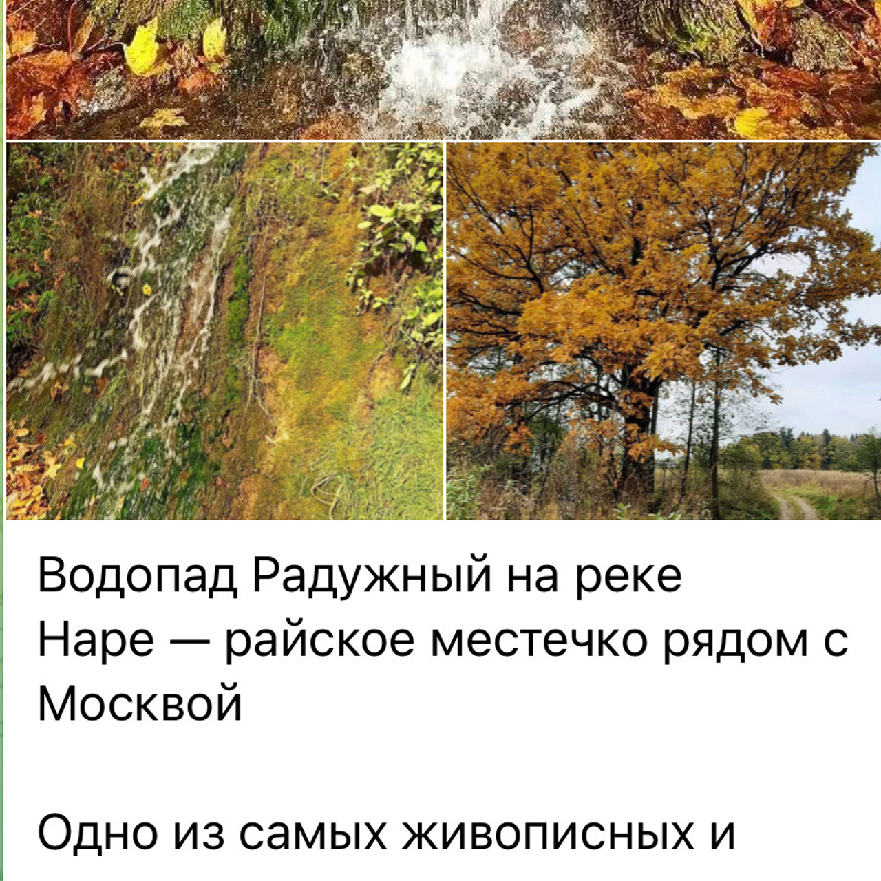 Места для осенних фотопрогулок. Дарья Бухреева — фотограф, видеограф и фототерапевт. Москва и мир