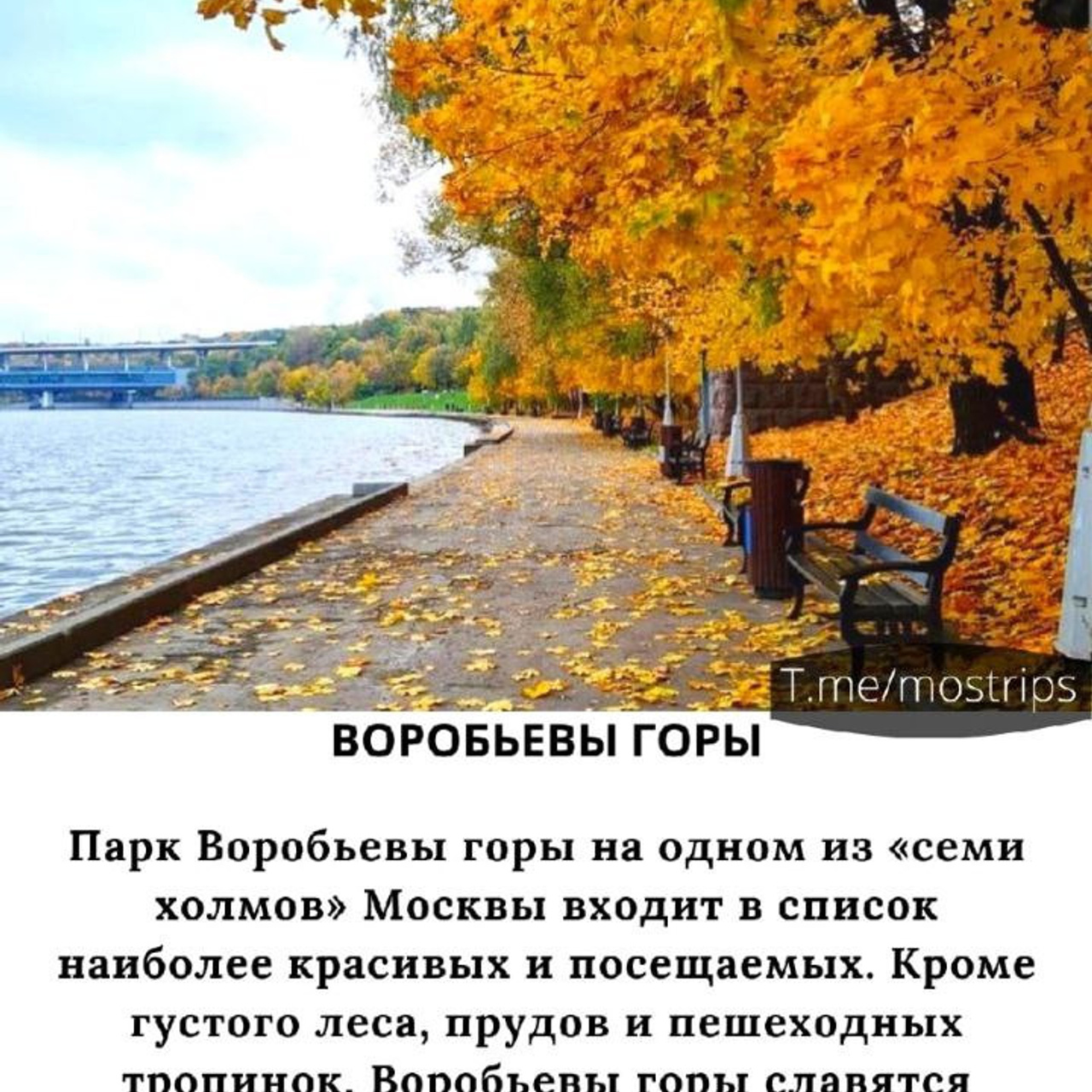 Места для осенних фотопрогулок. Дарья Бухреева — фотограф, видеограф и фототерапевт. Москва и мир