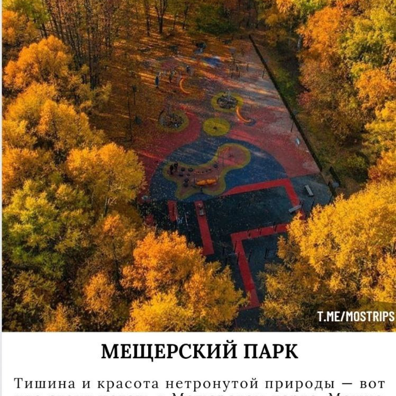 Места для осенних фотопрогулок. Дарья Бухреева — фотограф, видеограф и фототерапевт. Москва и мир