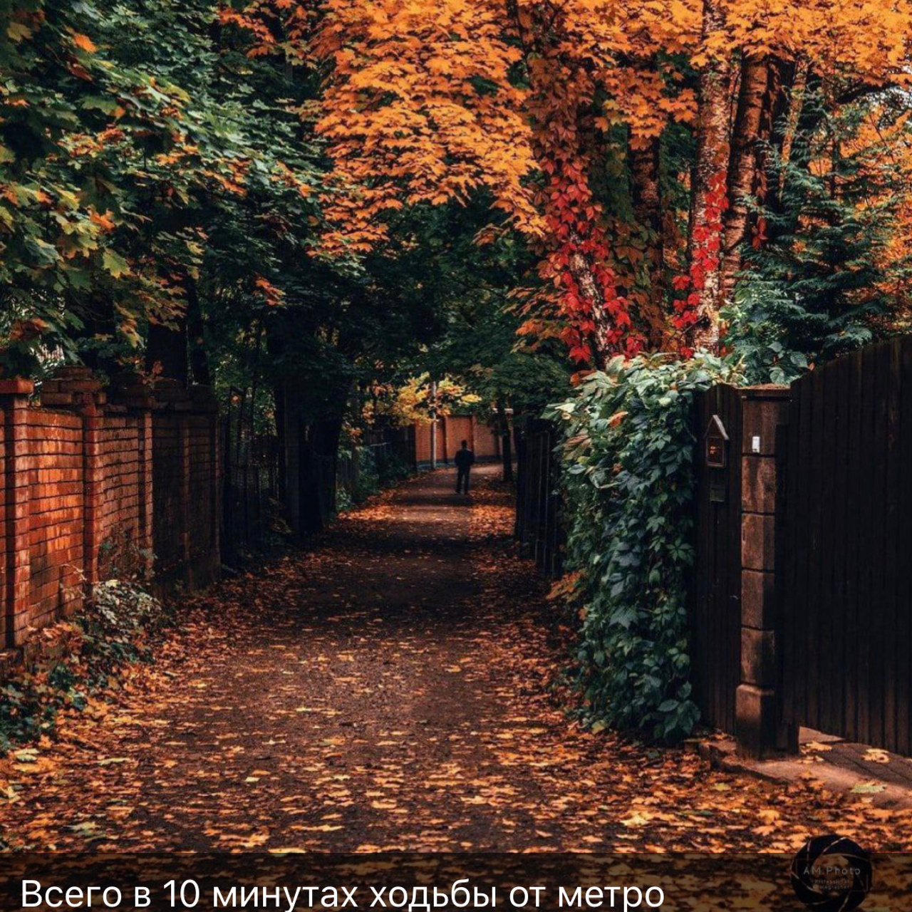 Места для осенних фотопрогулок. Дарья Бухреева — фотограф, видеограф и фототерапевт. Москва и мир