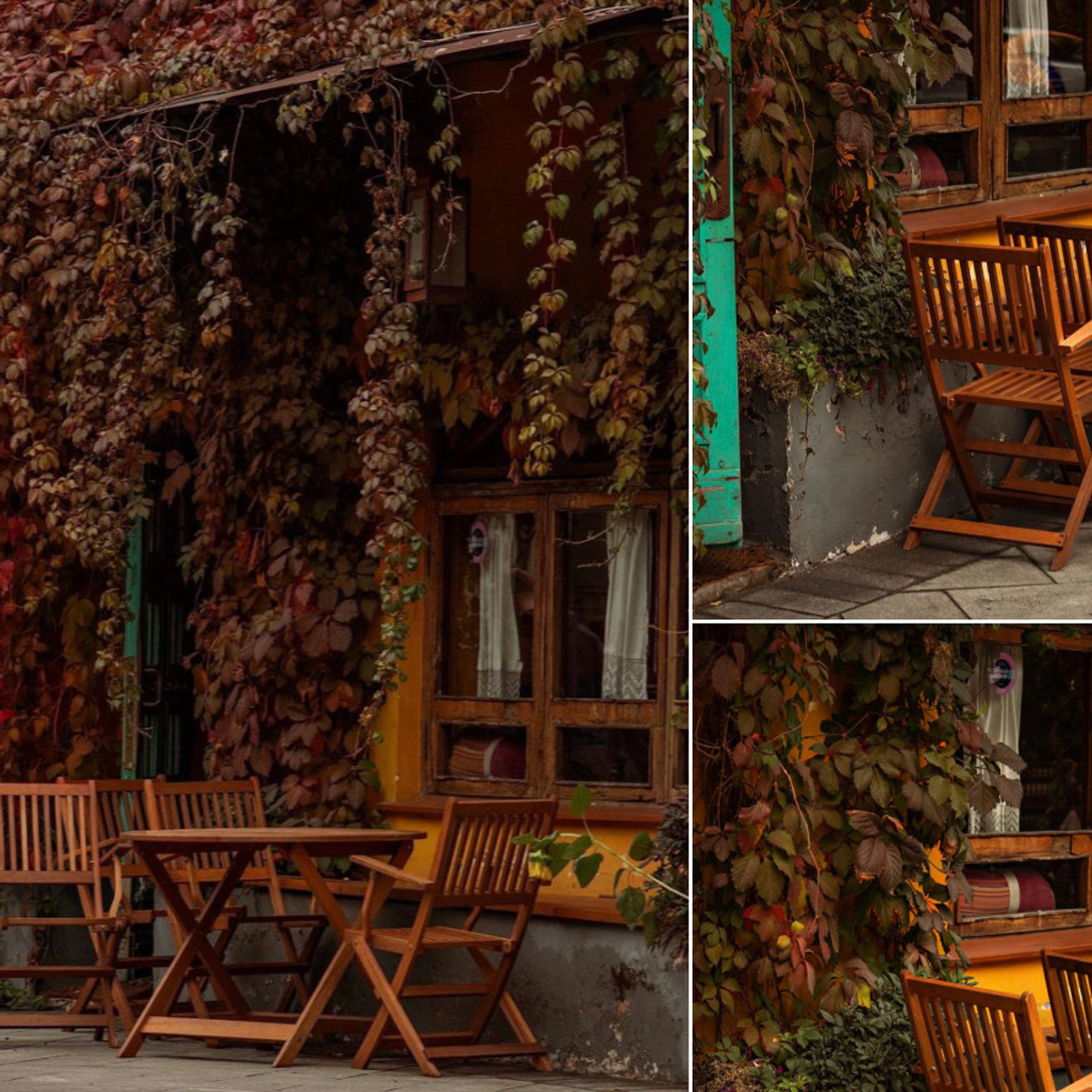 Места для осенних фотопрогулок. Дарья Бухреева — фотограф, видеограф и фототерапевт. Москва и мир