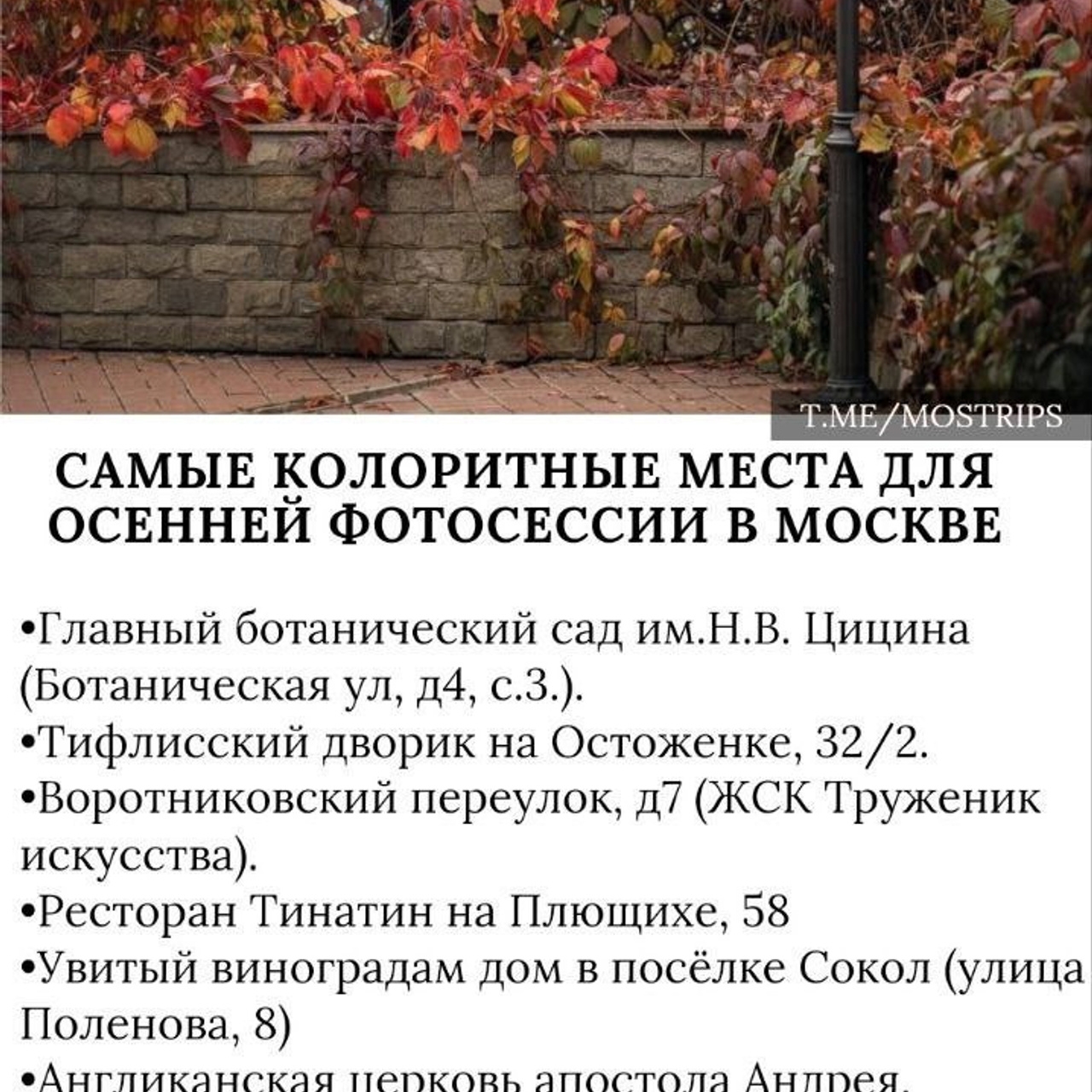 Места для осенних фотопрогулок. Дарья Бухреева — фотограф, видеограф и фототерапевт. Москва и мир