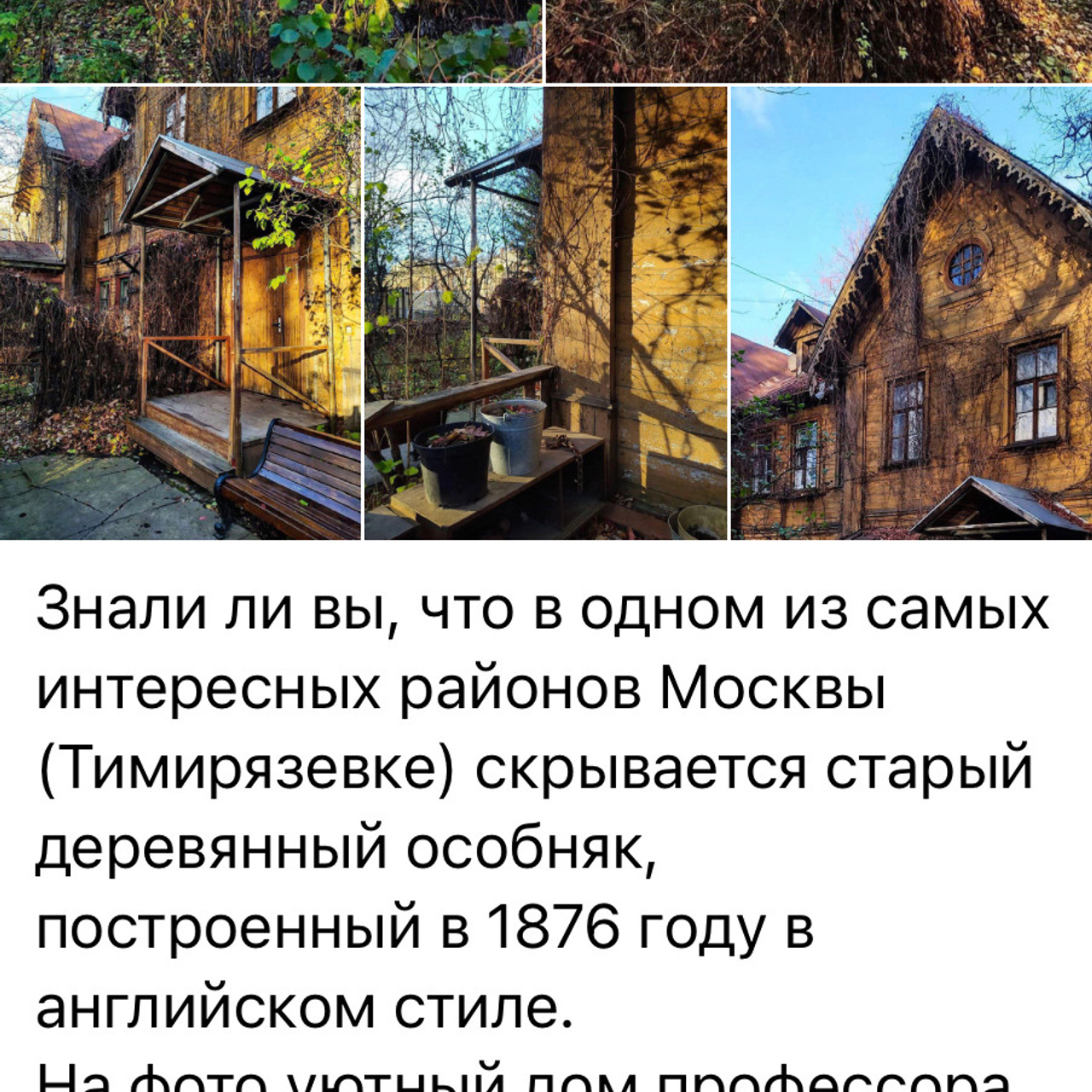 Места для осенних фотопрогулок. Дарья Бухреева — фотограф, видеограф и фототерапевт. Москва и мир