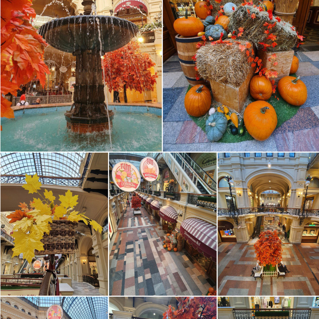 Места для осенних фотопрогулок. Дарья Бухреева — фотограф, видеограф и фототерапевт. Москва и мир