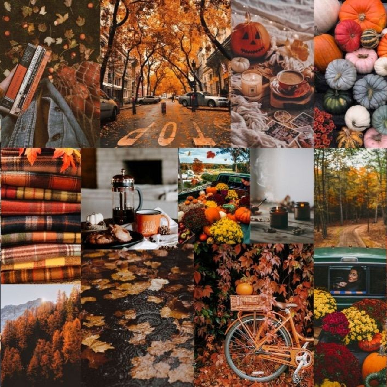 День из жизни сада/школы. Дарья Бухреева — фотограф, видеограф и фототерапевт. Москва и мир