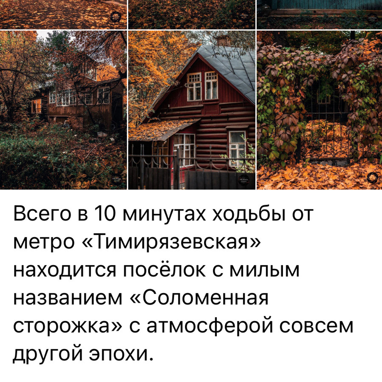 Места для осенних фотопрогулок. Дарья Бухреева — фотограф, видеограф и фототерапевт. Москва и мир