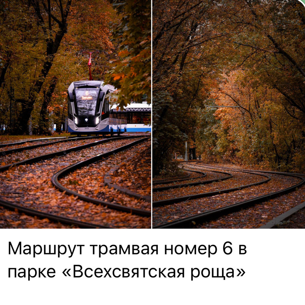 Места для осенних фотопрогулок. Дарья Бухреева — фотограф, видеограф и фототерапевт. Москва и мир