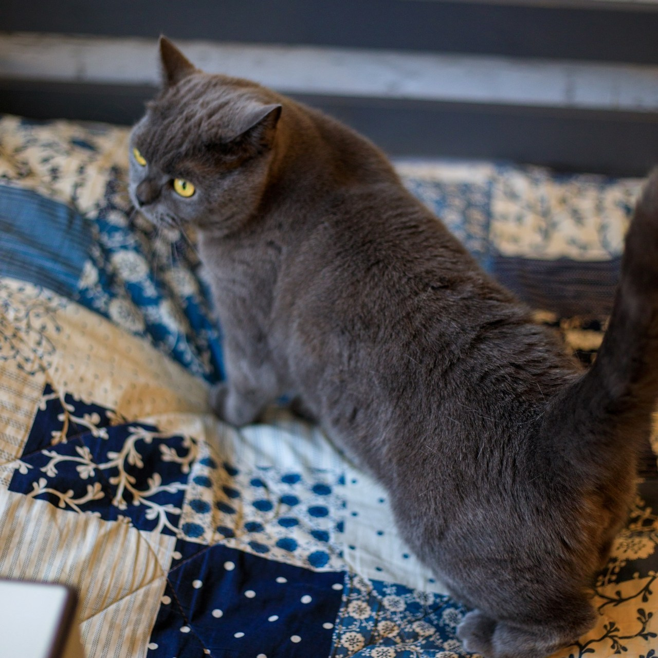 Отзывы. Не просто красивые фотографии, а ваши лучшие кадры!