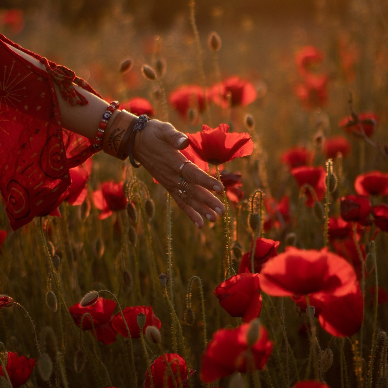 Отзывы. Главная