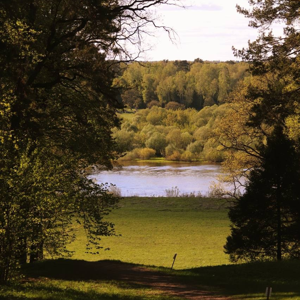 Концерт Эмре Алтуга «Сказки поп-музыки». Портфолио