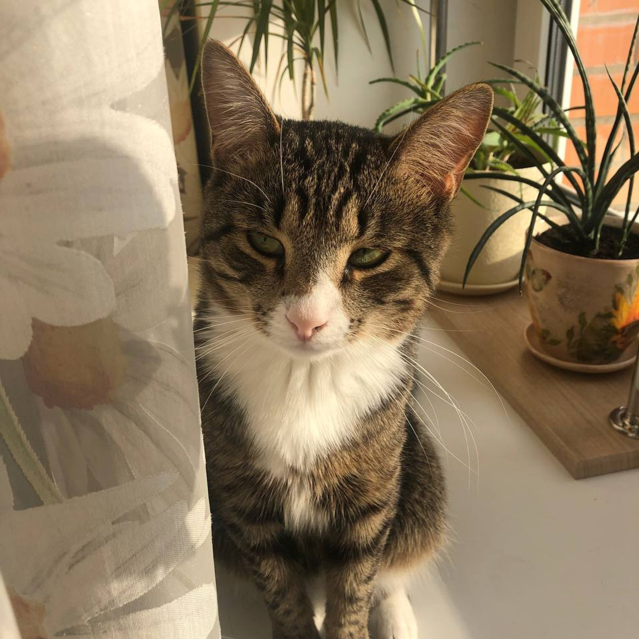 Фэшн фотограф Москва. Фотограф г. Москва