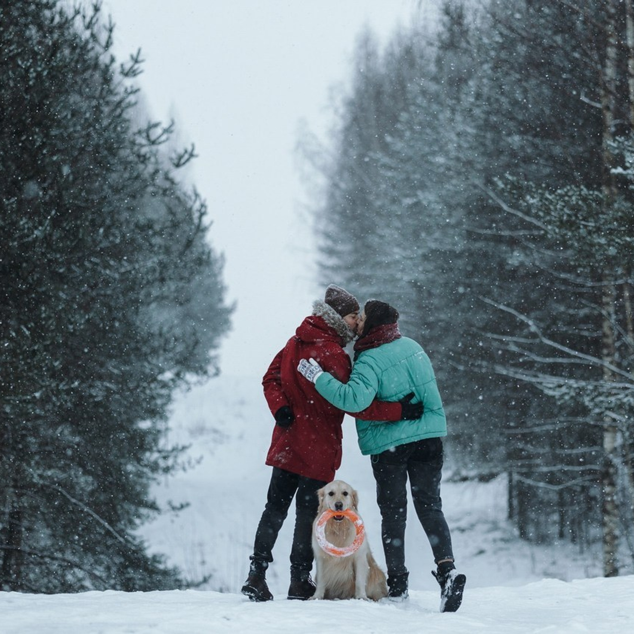 Отзывы. Фотограф — Анималист | Санкт-Петербург