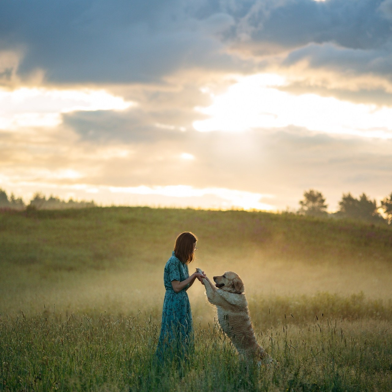 Отзывы. Фотограф — Анималист | Санкт-Петербург