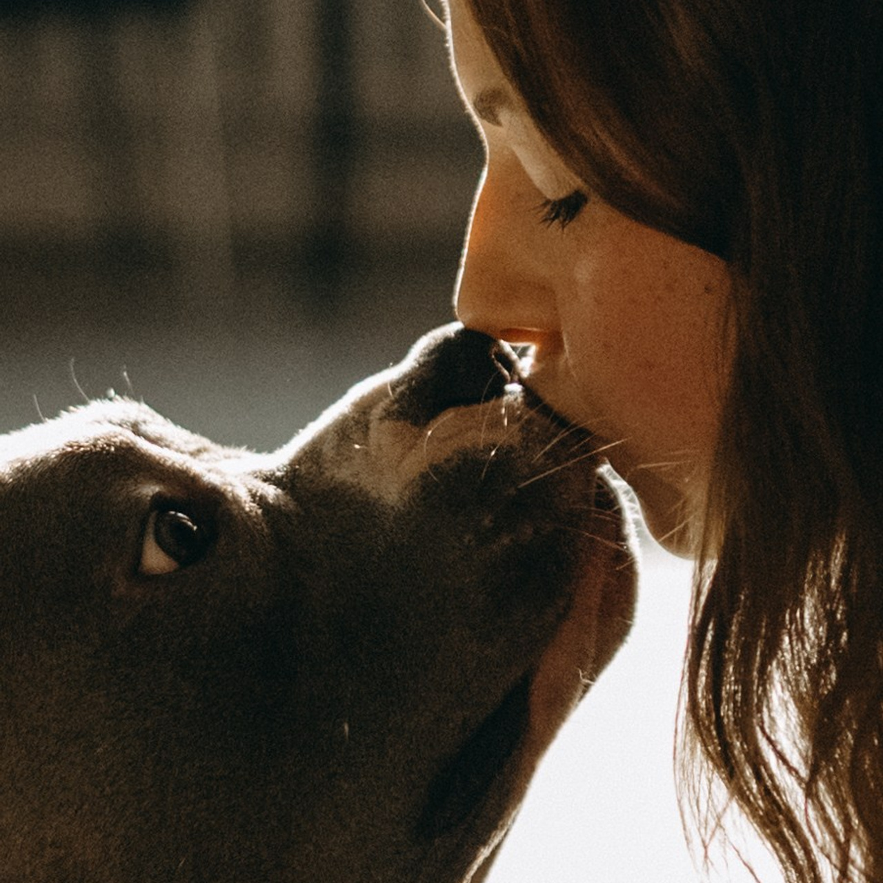 Саша и Кракен