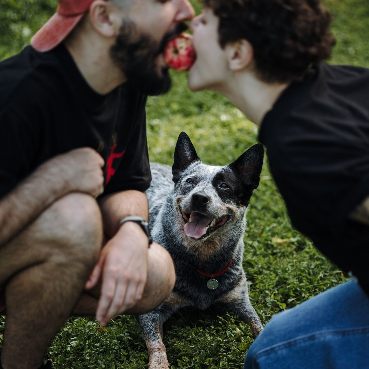 Отзывы. Фотограф — Анималист | Санкт-Петербург