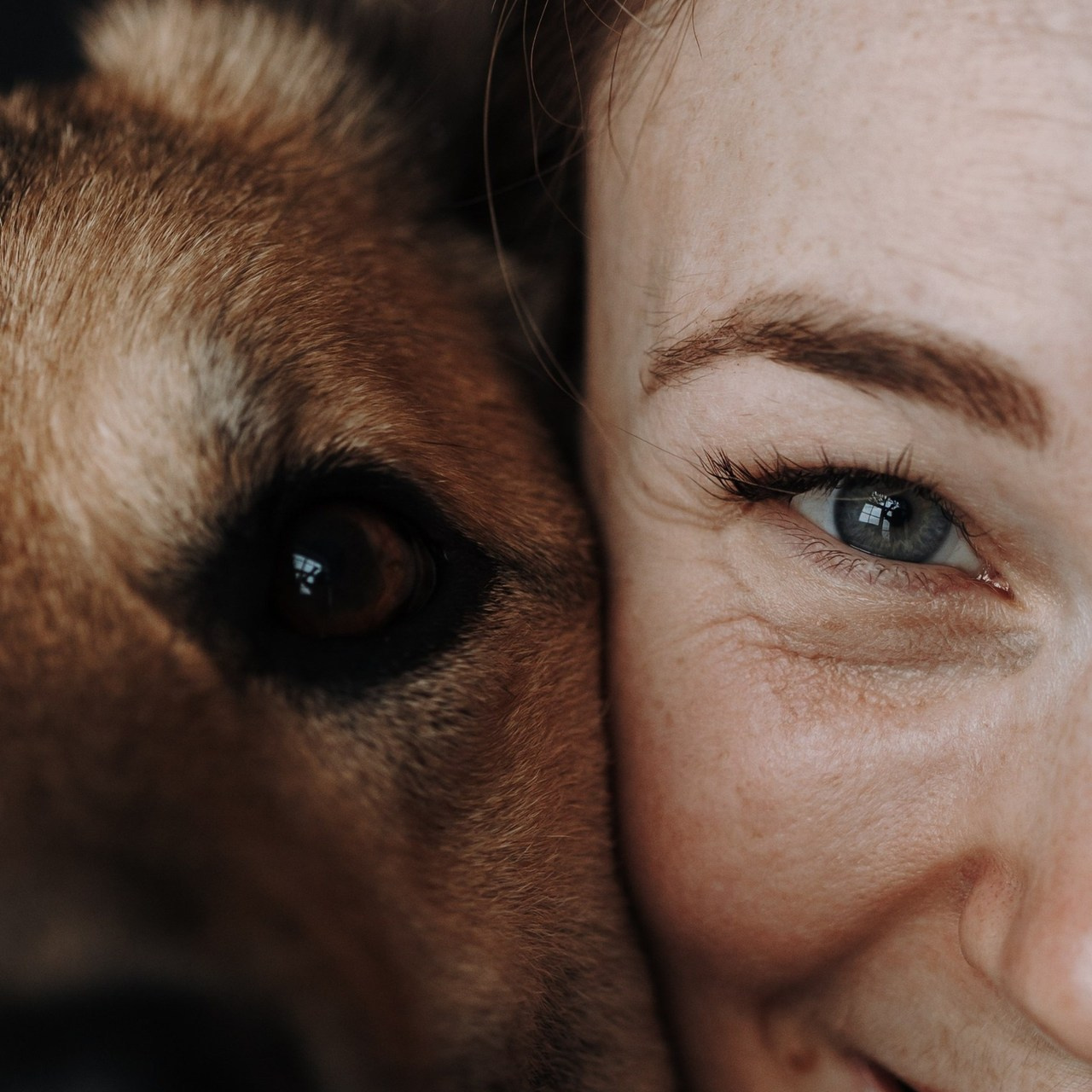 Отзывы. Фотограф — Анималист | Санкт-Петербург