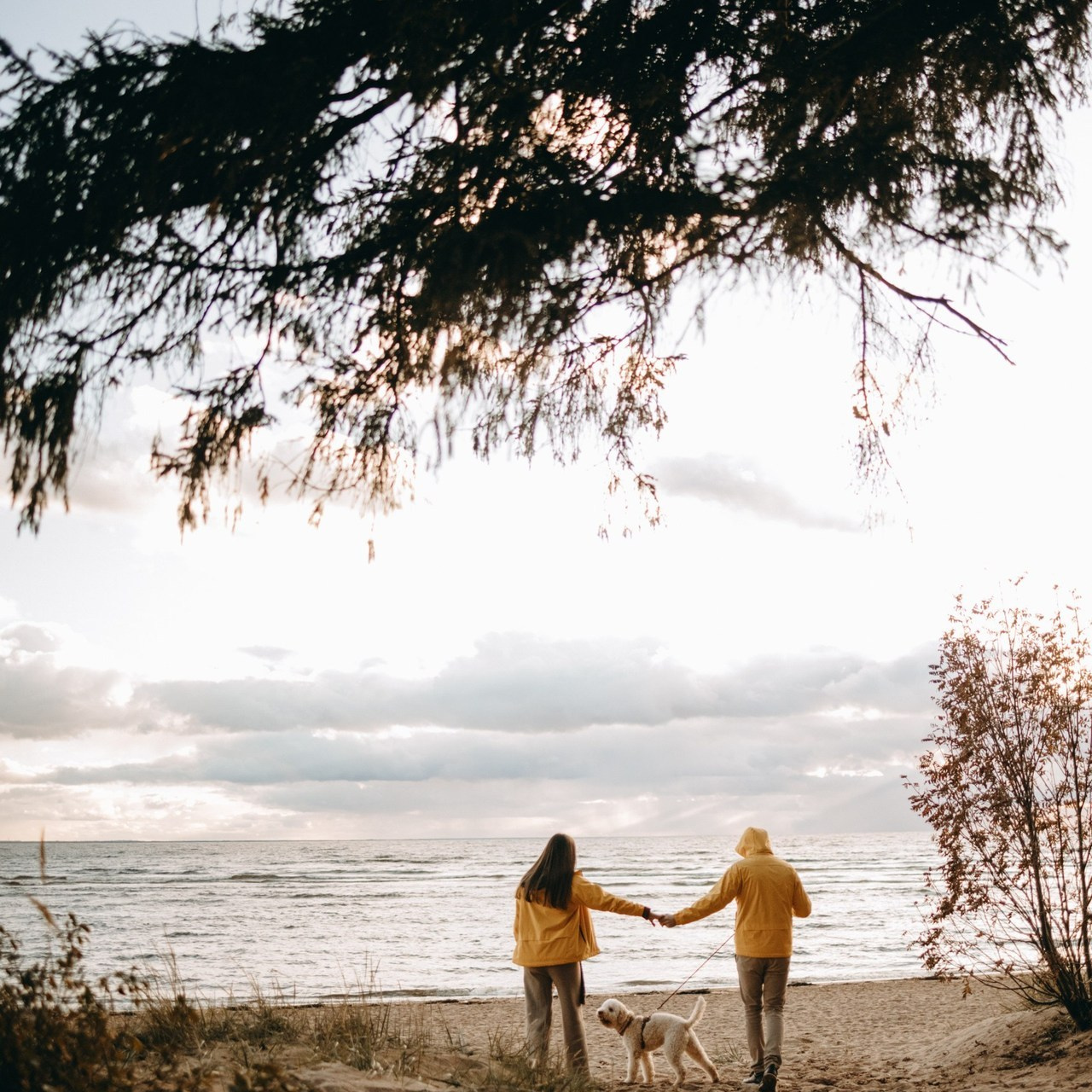 Отзывы. Фотограф — Анималист | Санкт-Петербург