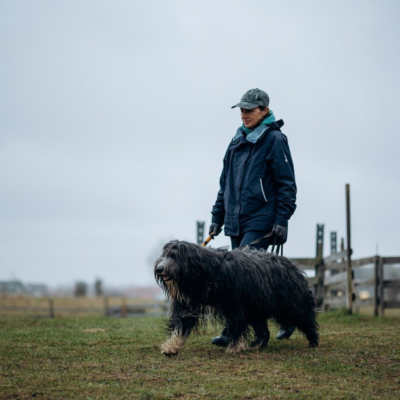 Отзывы. Фотограф — Анималист | Санкт-Петербург